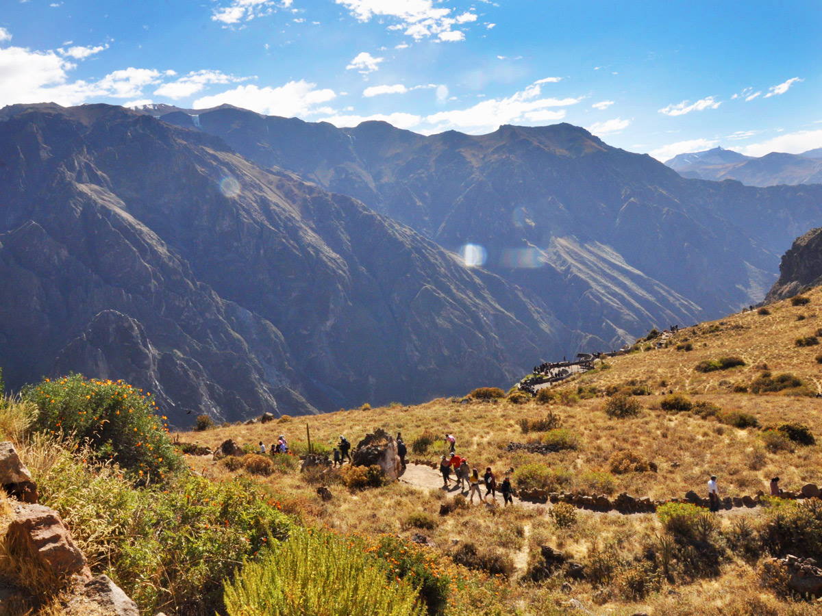 Colca Canyon Tour from Puno to Arequipa 2 days / 1 night - Minkas Travel